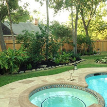 Landscape Ideas