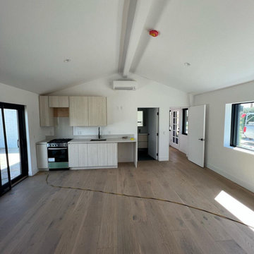 Junior ADU Remodel