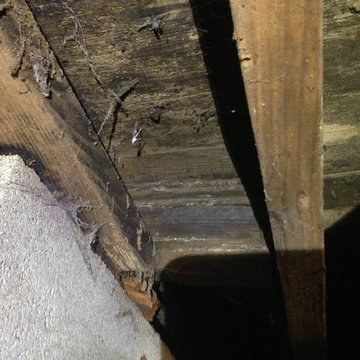 Structural Repair