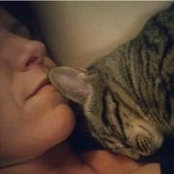 Kristen Law's photo