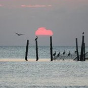 Wendy Elford's photo