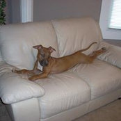 Victor Grebelsky's photo