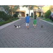 M Elizondo's photo
