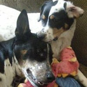 Jennifer Amato's photo