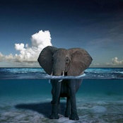 Jamie Zelko's photo