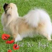 Gale Hamilton's photo