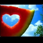 Watermelon Loves foto