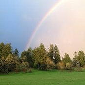 Lori King's photo
