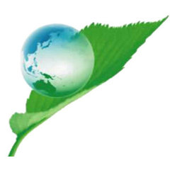 Green Solutions Window Cleaning Services