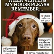 Melissa Halbert's photo