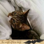 Victoria Masterson's photo