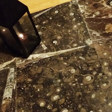 Ancient Seabed Natural Fossil Stone Collection Dark Brown (Chocolat) Tiles