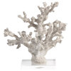 Nerissa Coral Sculpture, White