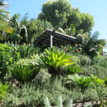 Tropical Zen