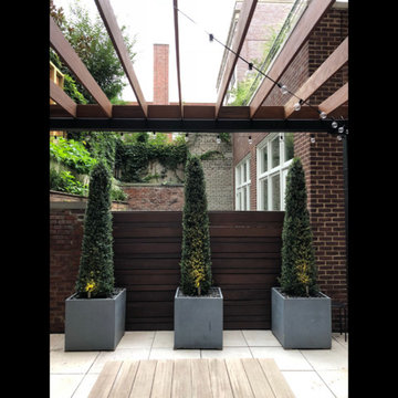 Brooklyn Heights Backyard