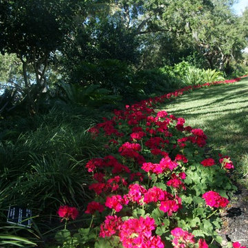 Our Landscaping Work