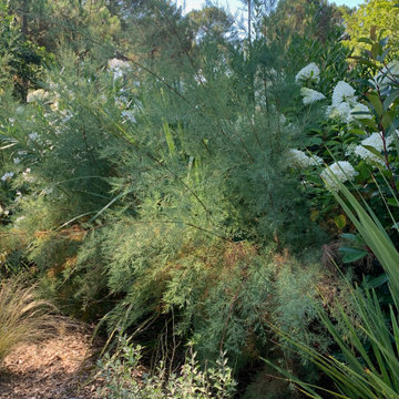 Jardin et piscine