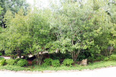 Home design - modern home design idea in Orlando