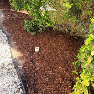 Large Landscape Transformation