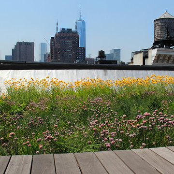 Rooftop Meadow in SoHo