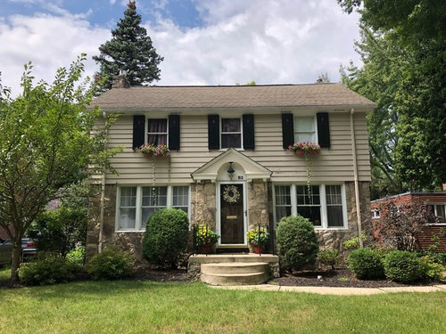 help with roof color