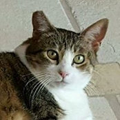 Foto von Carol Bailey
