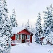 Jen Apfel's photo