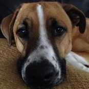 Lisa Giardino's photo