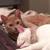 Laura Lightsey's photo