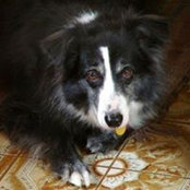 Dave Saalsaa's photo