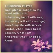 David Moll's photo