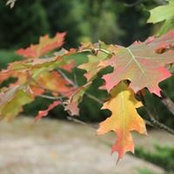 Deborah Powers's photo