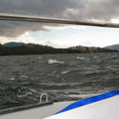 William Reed's photo
