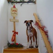 Peggy Phillips's photo