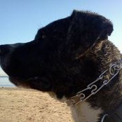 Tracy Bartels's photo
