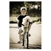 Maria Adriana Ortiz's photo