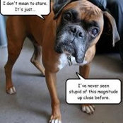 Erik Houser's photo