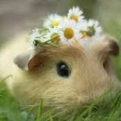 Elizabeth Dann's photo