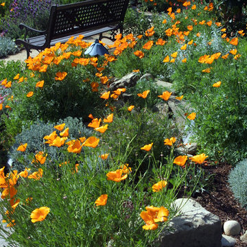 Wildlife Habitat in Campbell, California 95008