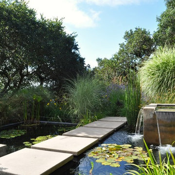 Marin Water Feature