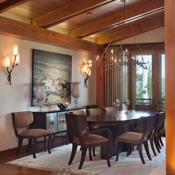 Colorado Ski House