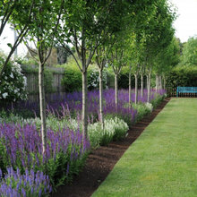 House Inspiration - Landscaping