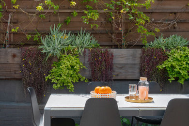 Patio - modern patio idea in San Francisco