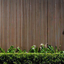 Exterior Ideas