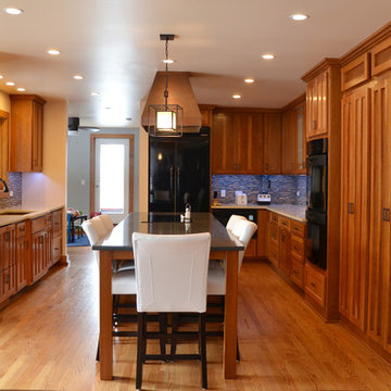 Palos Park Residence