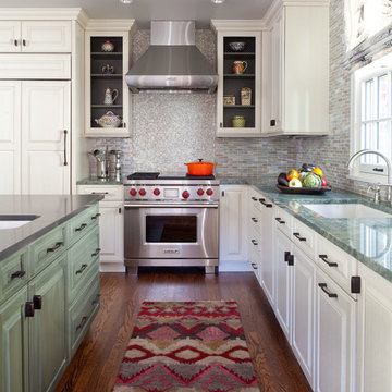 Congress Park House Kitchen