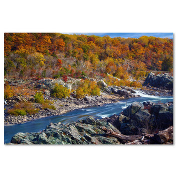 'Potomac Autumn' Canvas Art by CATeyes