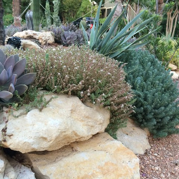 Various Xeriscapes by Team Rhinamic