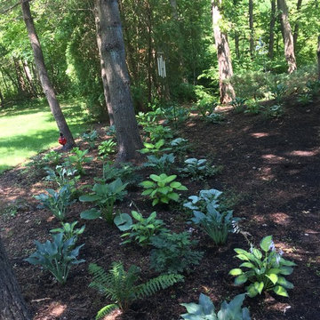 Colorful Shade/Woodland Garden