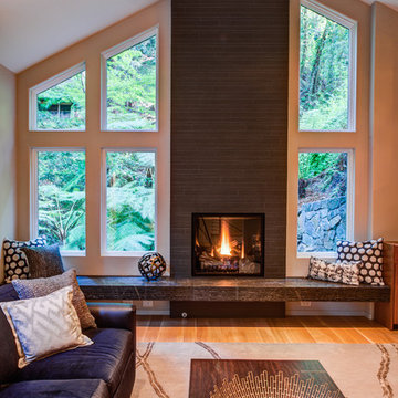 Mill Valley Redwood Conteporary